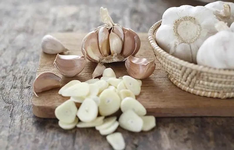 Cách diệt ruồi cống - 4