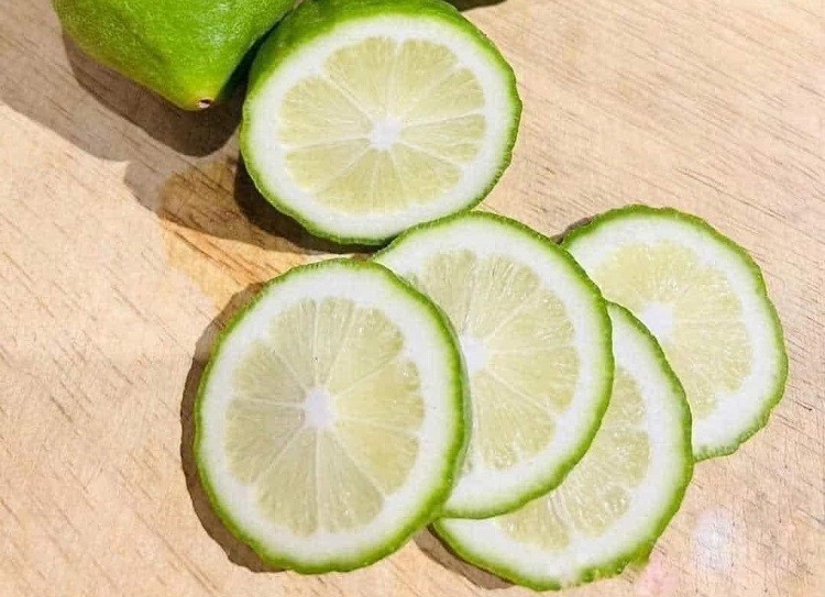 Cách hút ẩm trong phòng kín (ảnh 5)