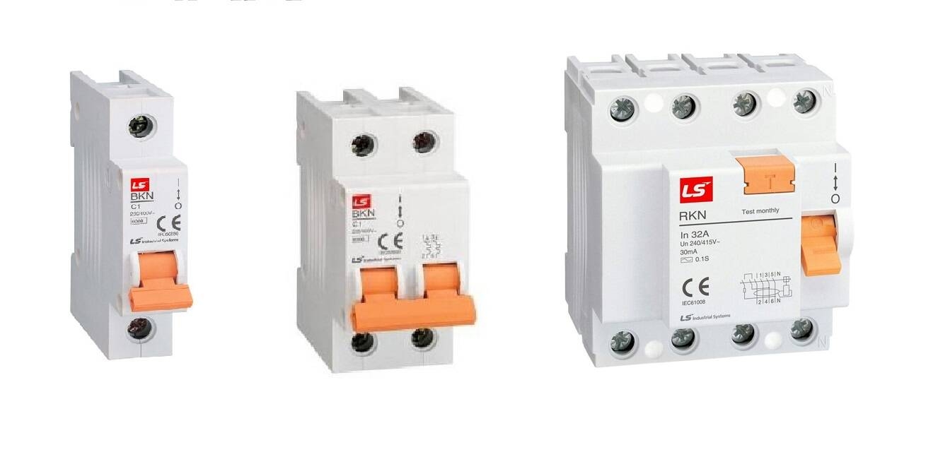 aptomat hay bị nhảy về đêm - hình 3