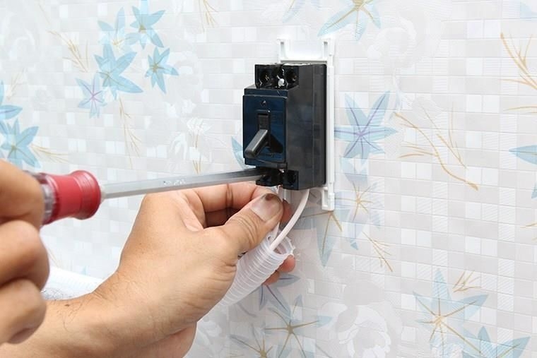 aptomat hay bị nhảy về đêm - hình 5