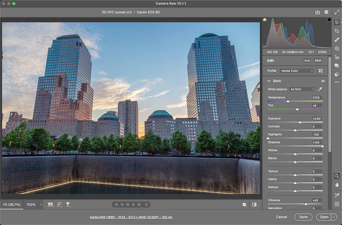 camera raw photoshop tab basic