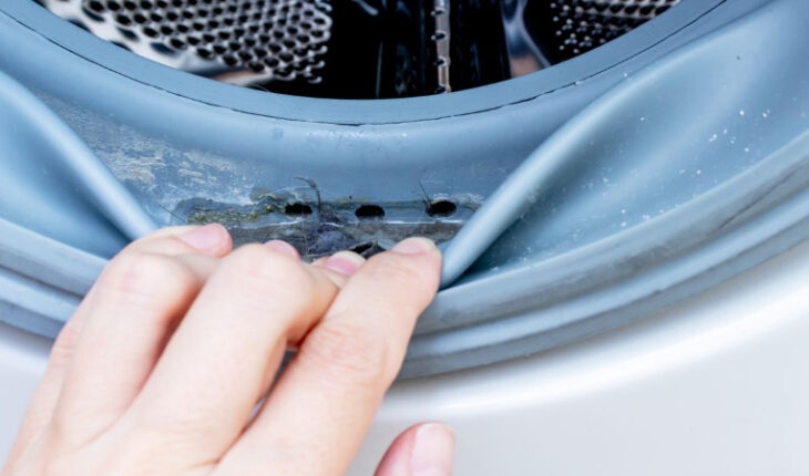 thay gioăng cao su máy giặt Electrolux 2