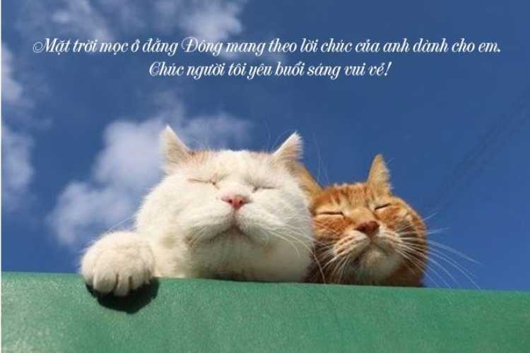 Thả thính chào buổi sáng bằng tiếng Anh