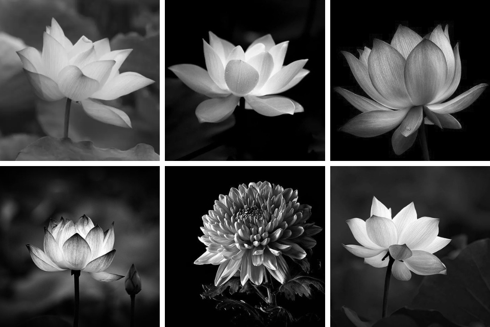 Ảnh đại diện Zalo buồn đám tang hình 1