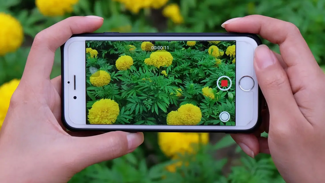 9 cách quay video đẹp trên iPhone bạn thử để có những thước phim lung linh nhất 5