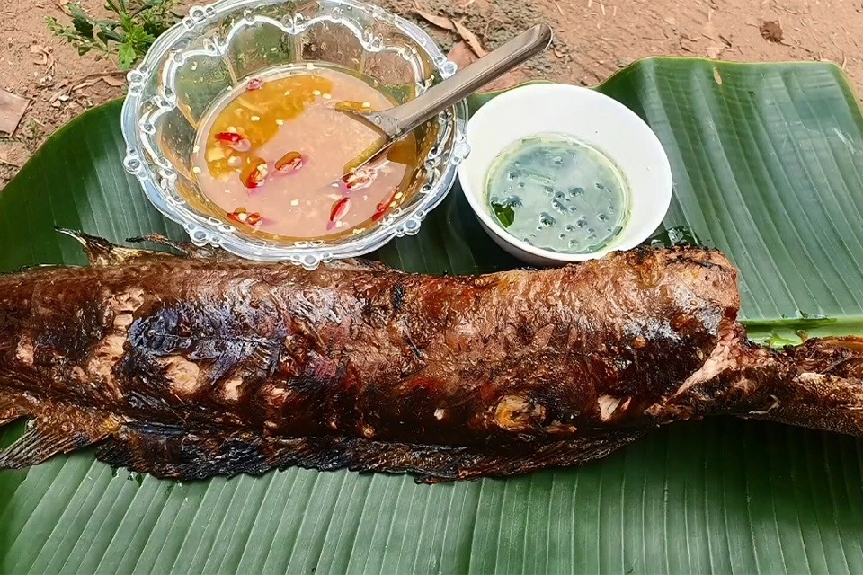 Cách làm cá trê nướng sa tế