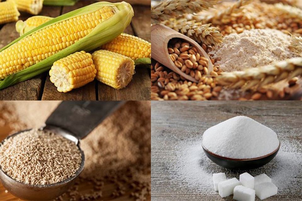 Chuẩn bị nguyên liệu làm pizza