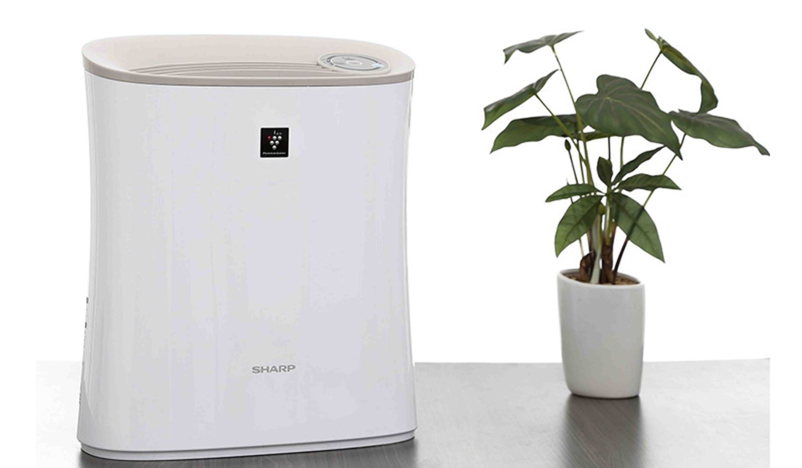 cách vệ sinh máy lọc không khí Sharp 1
