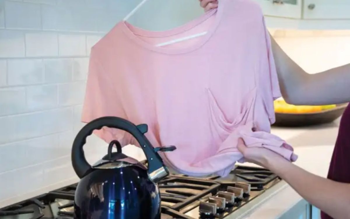 Cách làm phẳng áo bị nhăn (ảnh 3)