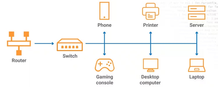 Switch mạng là gì?