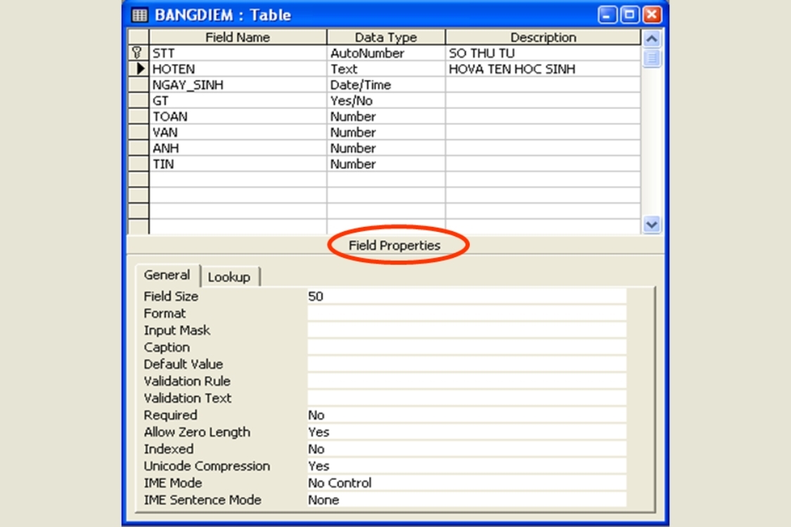 Ứng dụng của Field là gì?