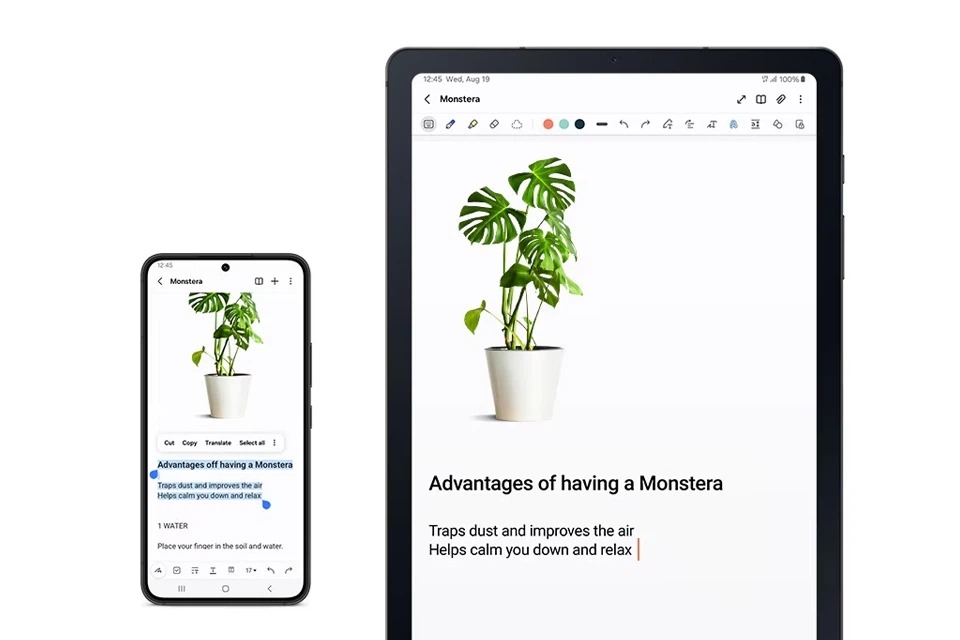 Lý do nên mua Galaxy Tab S6 Lite 2024 (ảnh 6)