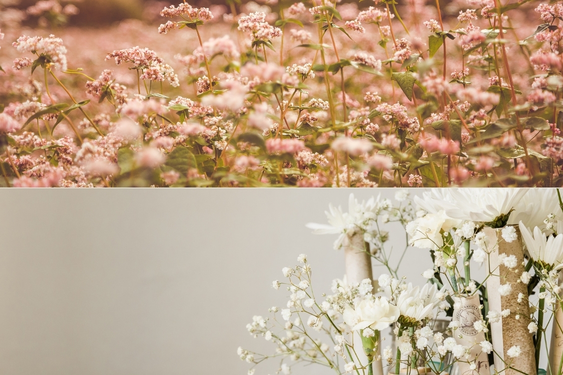 Ảnh bìa Zalo về hoa