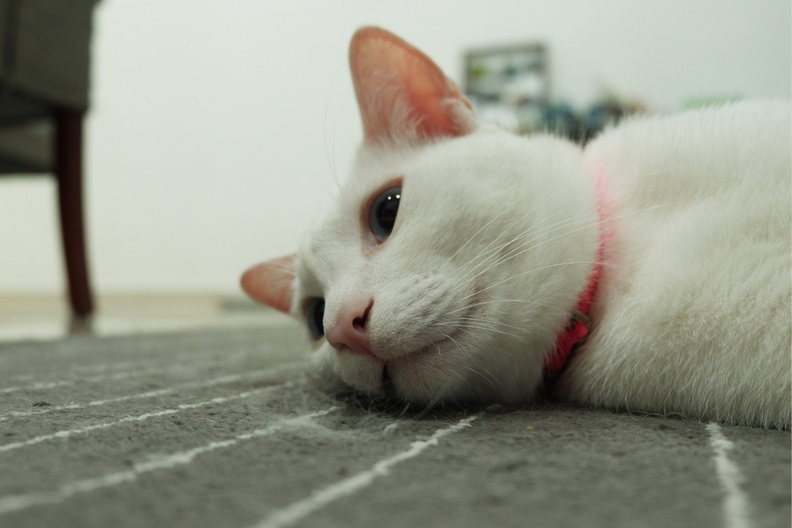 Ảnh bìa Zalo buồn đẹp 1