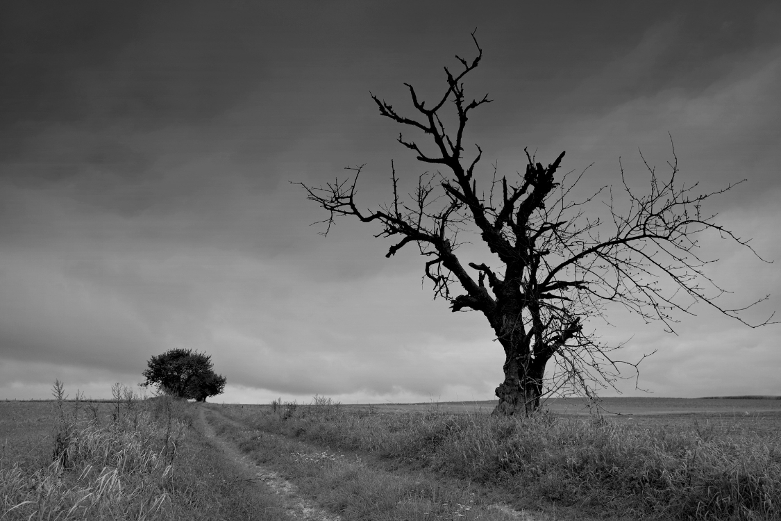 Ảnh bìa Zalo buồn đen trắng 2