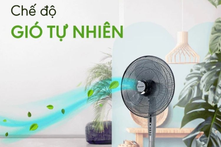 Quạt cây Sharp 50W PJ-S40RV-DG (ảnh 2)