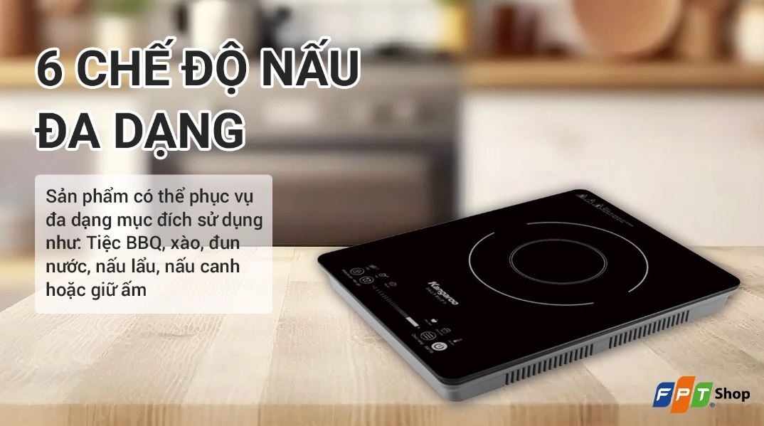 bếp từ giá rẻ loại nào tốt nhất 2024 04
