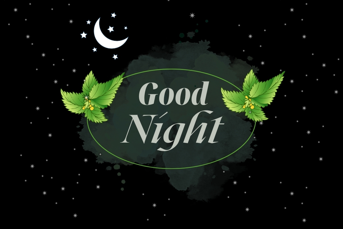 Hình ảnh chúc ngủ ngon lãng mạn