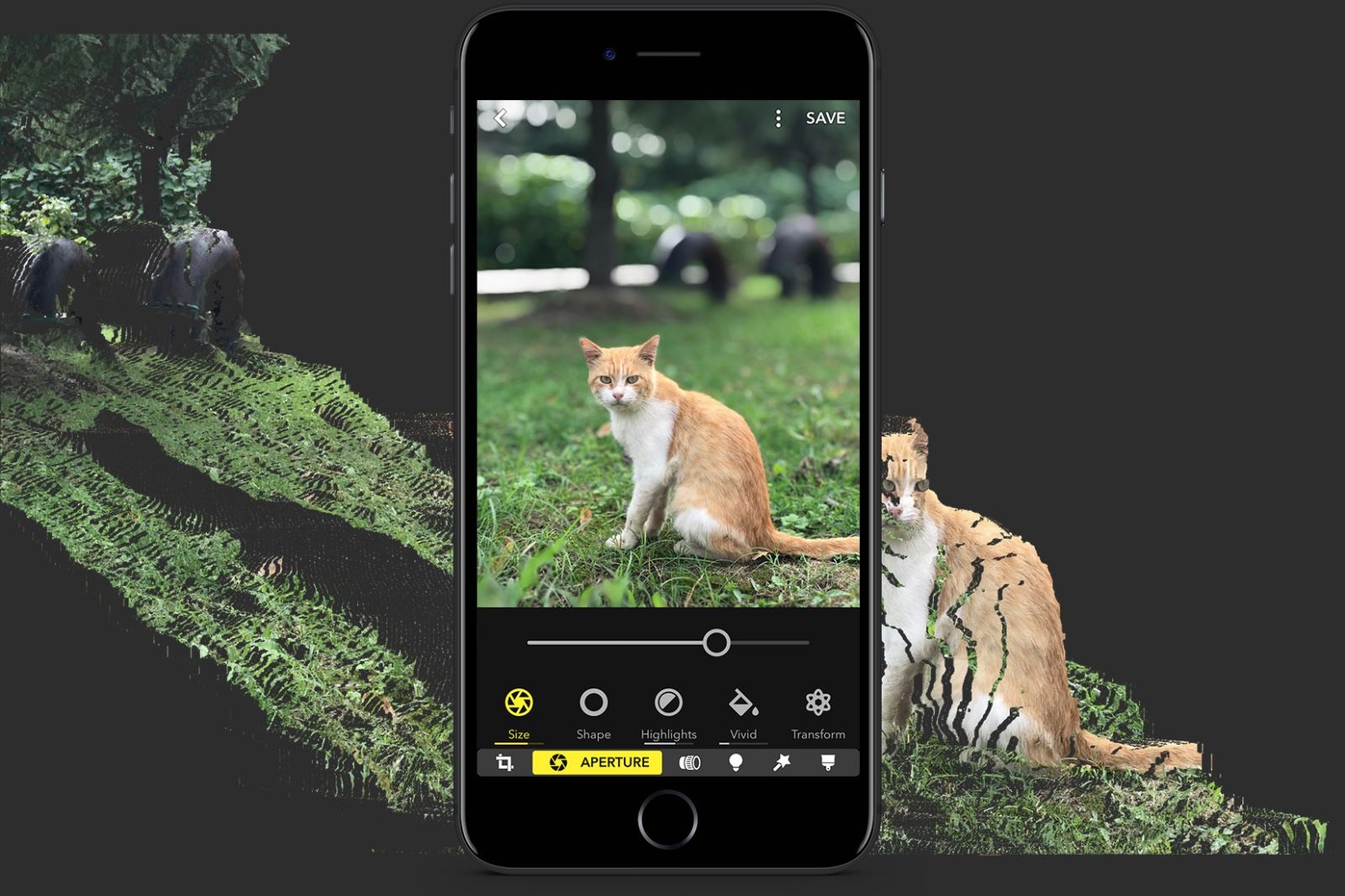 app xoá phông ảnh trên iphone 11