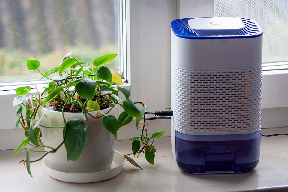 Khi nào thì nên sử dụng công nghệ Dehumidifying?