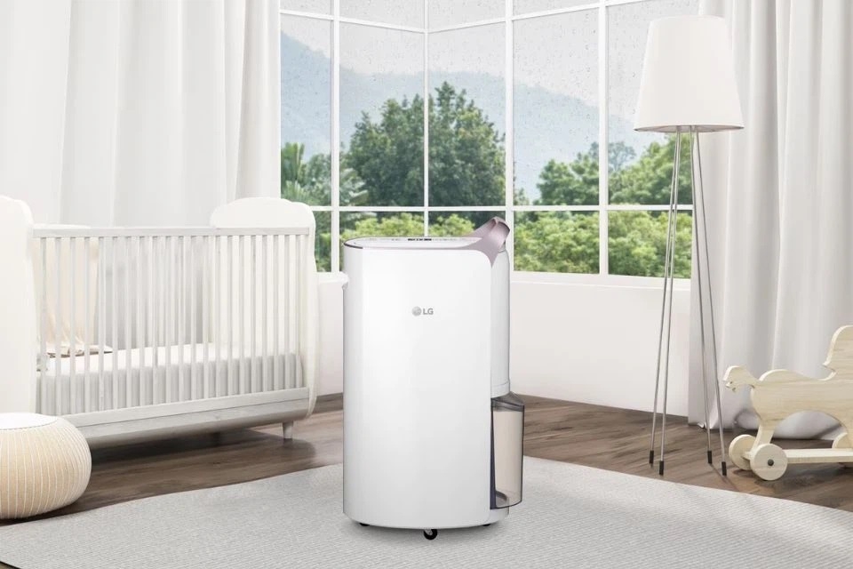 Máy hút ẩm LG 19L - MD19GQGE0