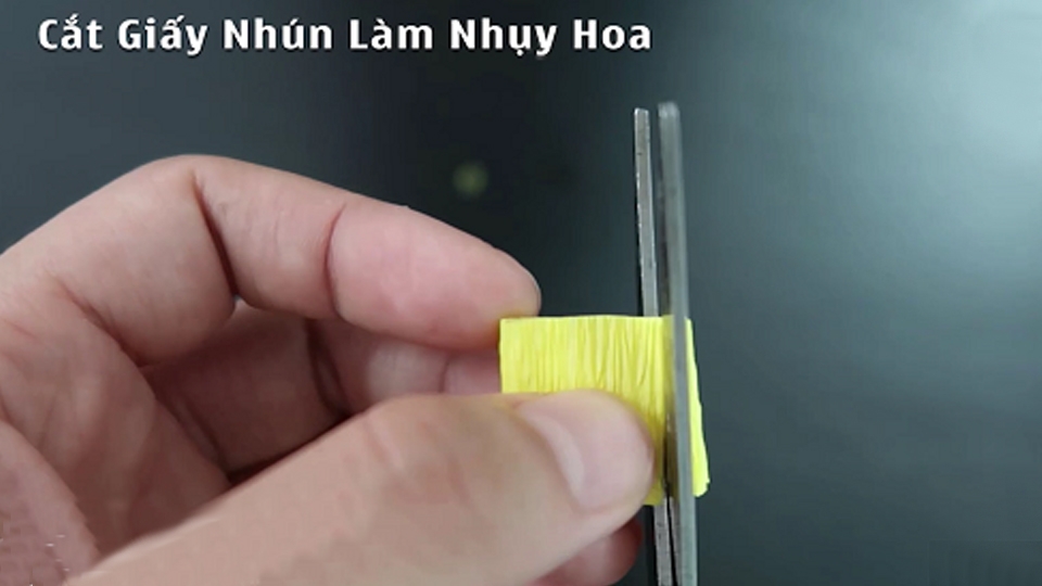 Làm nhụy hoa cúc họa mi.