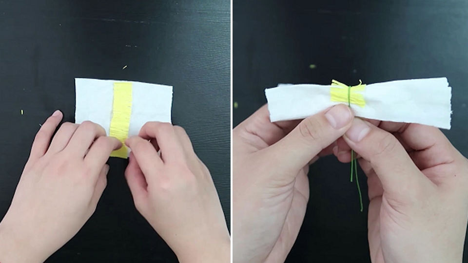 Gấp cánh hoa cúc họa mi.