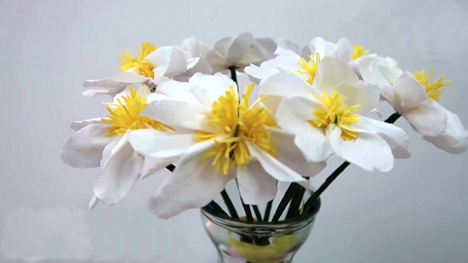 Cắm hoa cúc họa mi vào bình.