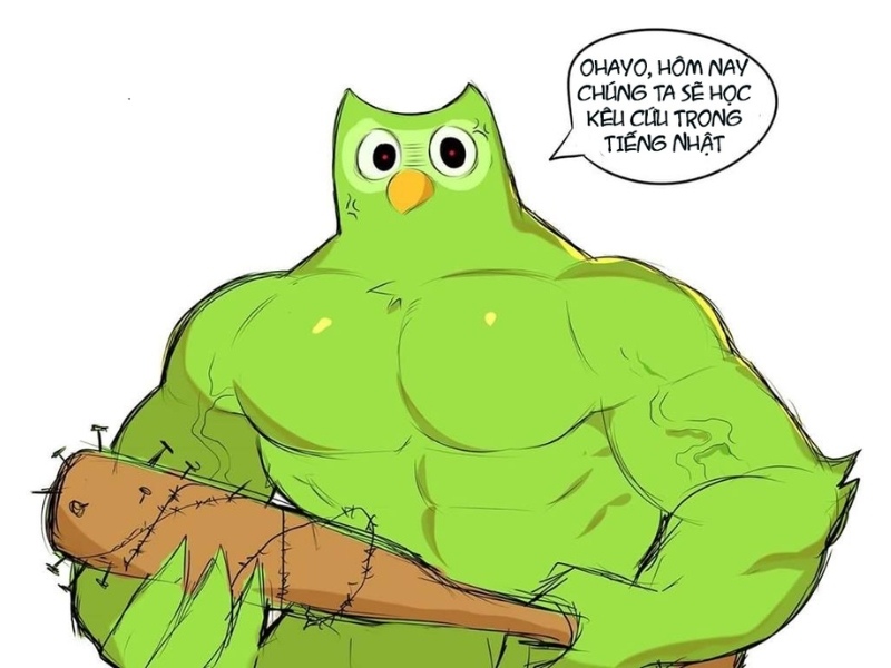 Tổng hợp các ảnh Duolingo meme hài hước, vui nhộn (hình 9)