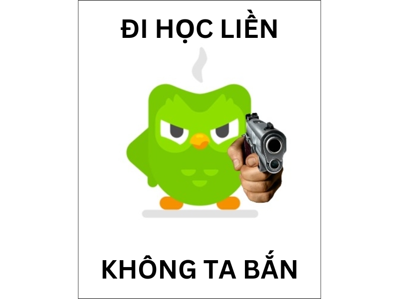 Tổng hợp các ảnh Duolingo meme hài hước, vui nhộn (hình 10)