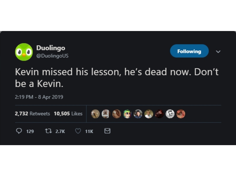Tổng hợp các ảnh Duolingo meme hài hước, vui nhộn (hình 11)