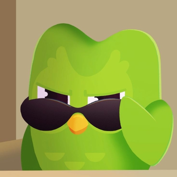 Chia sẻ bộ ảnh Duolingo meme dạng icon (hình 17)