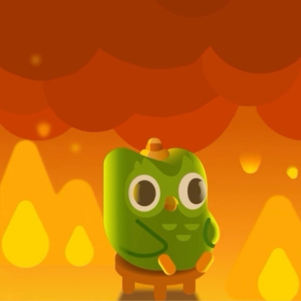 Chia sẻ bộ ảnh Duolingo meme dạng icon (hình 15)