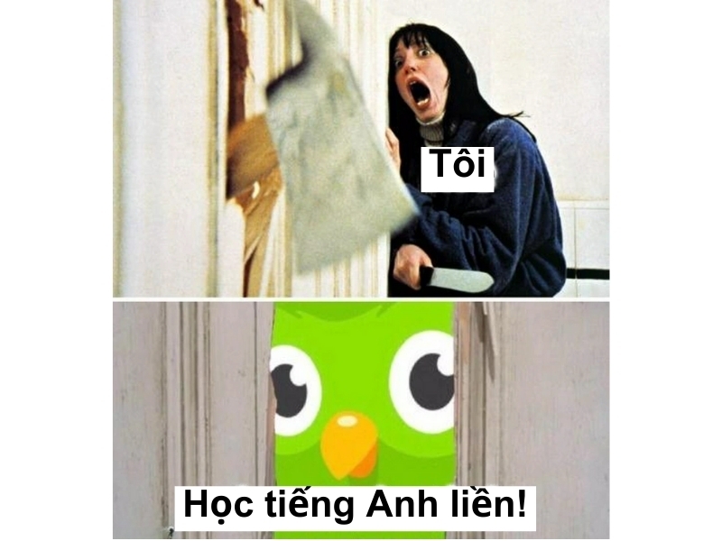 Tổng hợp các ảnh Duolingo meme hài hước, vui nhộn (hình 3)