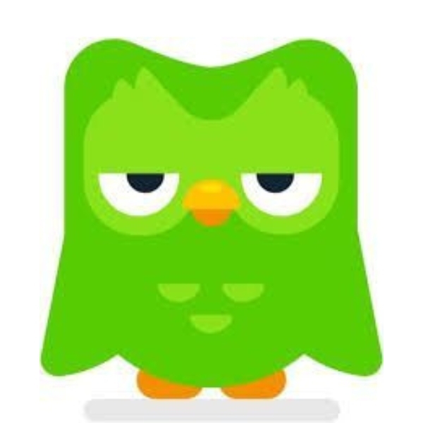 Chia sẻ bộ ảnh Duolingo meme dạng icon (hình 4)