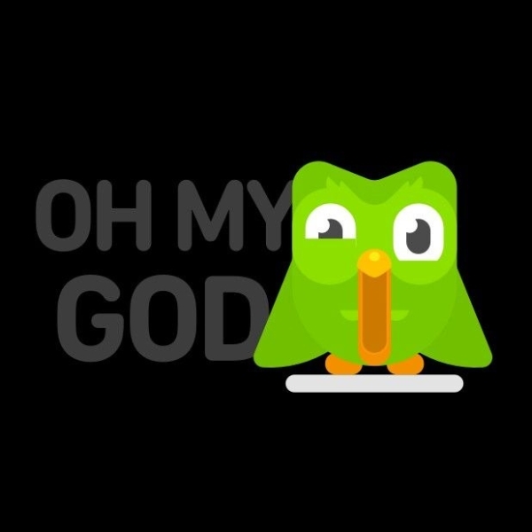 Chia sẻ bộ ảnh Duolingo meme dạng icon (hình 8)