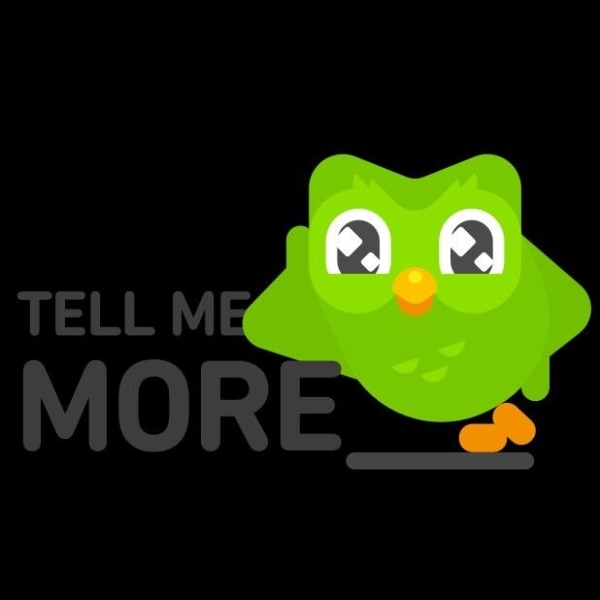 Chia sẻ bộ ảnh Duolingo meme dạng icon (hình 7)