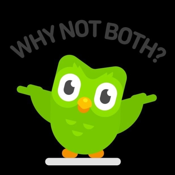 Chia sẻ bộ ảnh Duolingo meme dạng icon (hình 14)