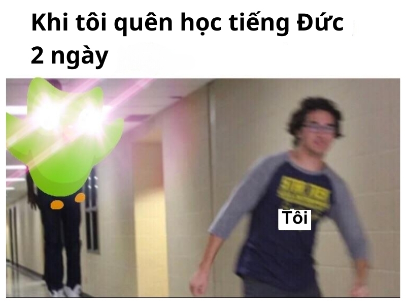 Tổng hợp các ảnh Duolingo meme hài hước, vui nhộn (hình 5)