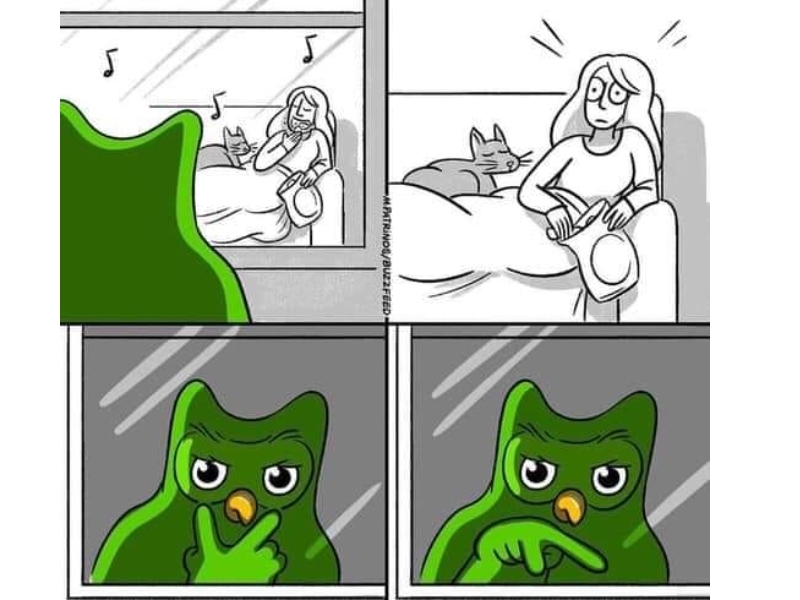 Tổng hợp các ảnh Duolingo meme hài hước, vui nhộn (hình 6)