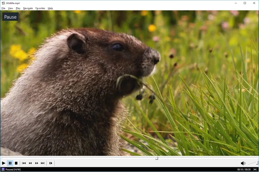 Media Player Classic