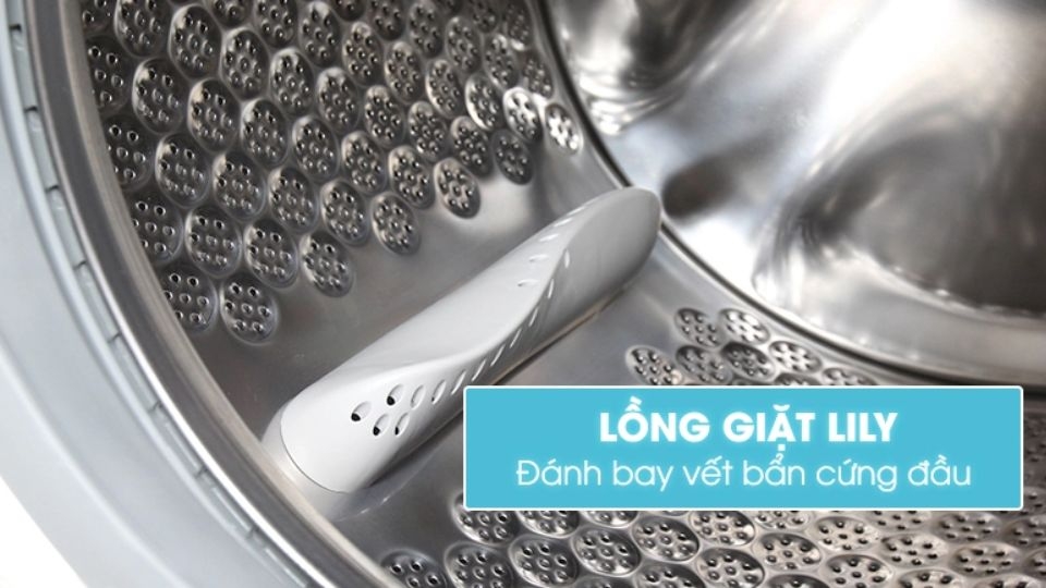 Lồng giặt Lily là gì?