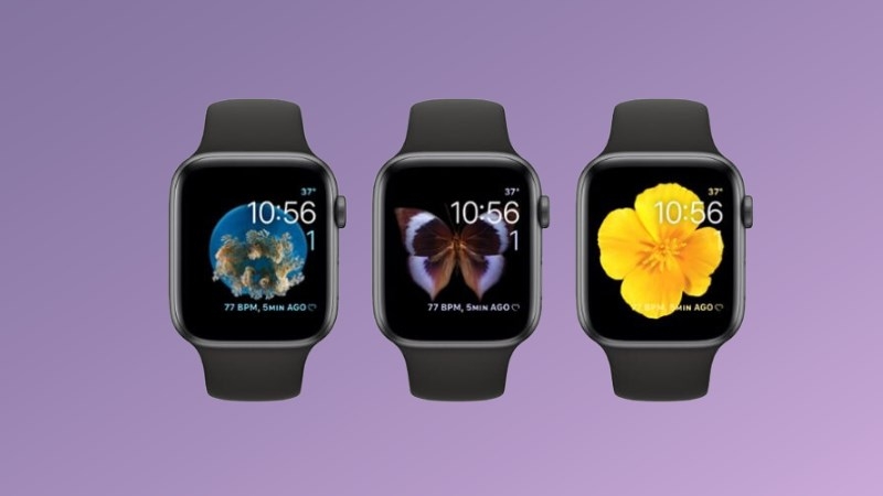 mặt đồng hồ Apple Watch ảnh 11