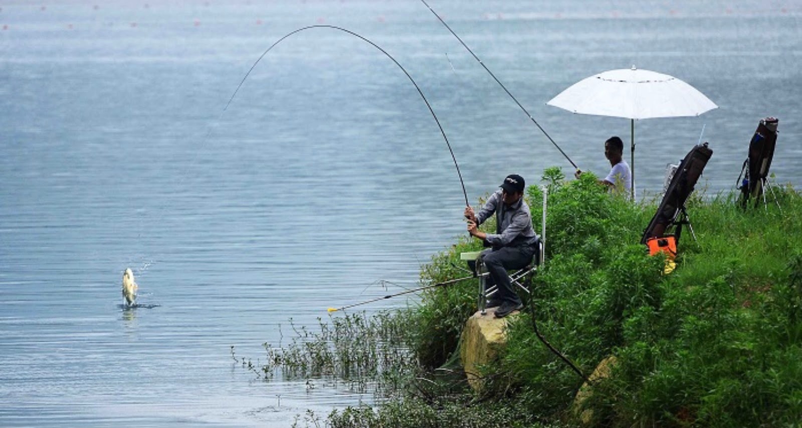 Kỹ thuật Câu Đài là gì