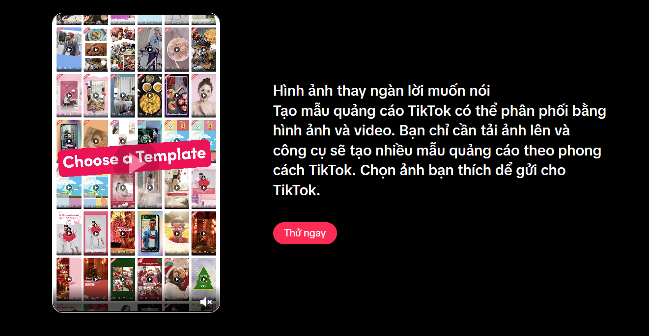 TikTok Business (ảnh 5)