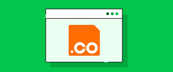 khác biệt giữa tên miền .COM và .CO - hình 2