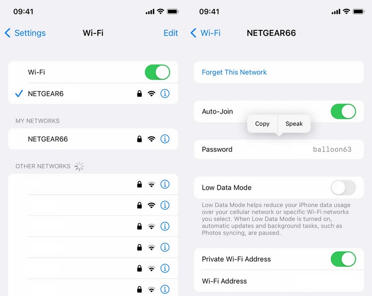 Bật mí cách sử dụng iPhone 14 Pro Max - hình 14