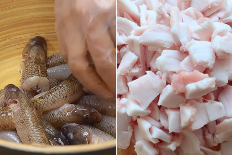 cá bống 3