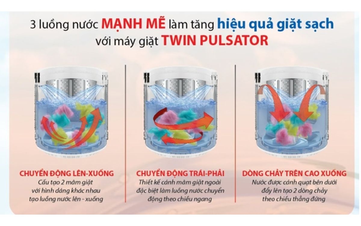 Mâm giặt kép Twin Pulsator (ảnh 5)