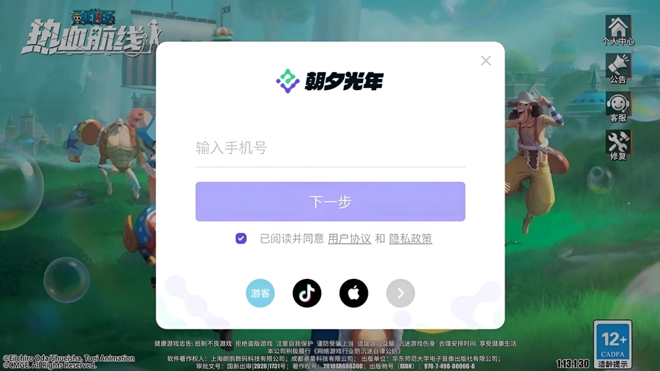 One Piece Fighting Path 9